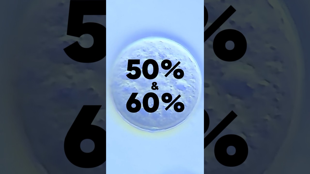 Why Good Embryos Fail: Common Reasons