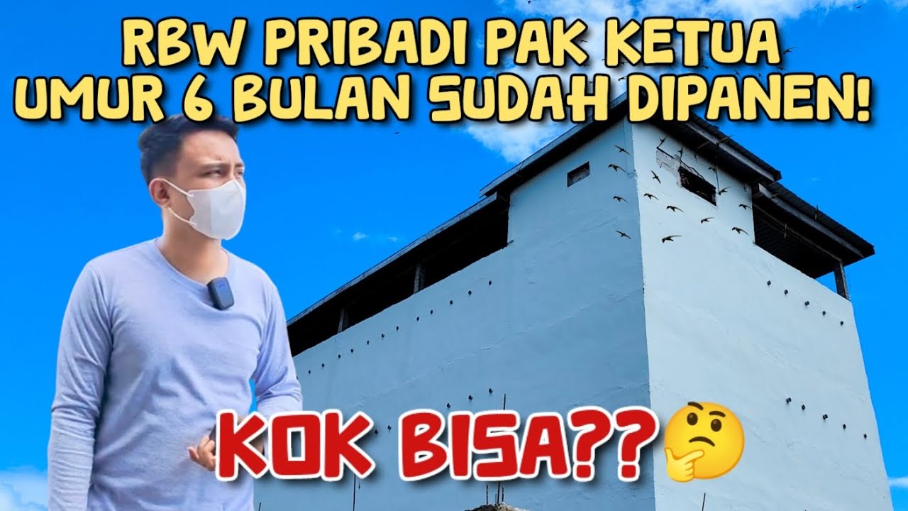 RBW PRIBADI PAK KETUA UMUR 6 BULAN SUDAH DIPANEN‼️KOK BISAAA??😱 Rbw 8x16 4 lantai.