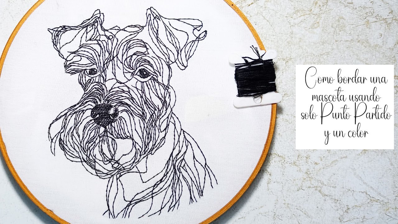 Bordado Facil, Como hacer un perrito Schnauzer, utilizando una puntada, punto partido y un color.