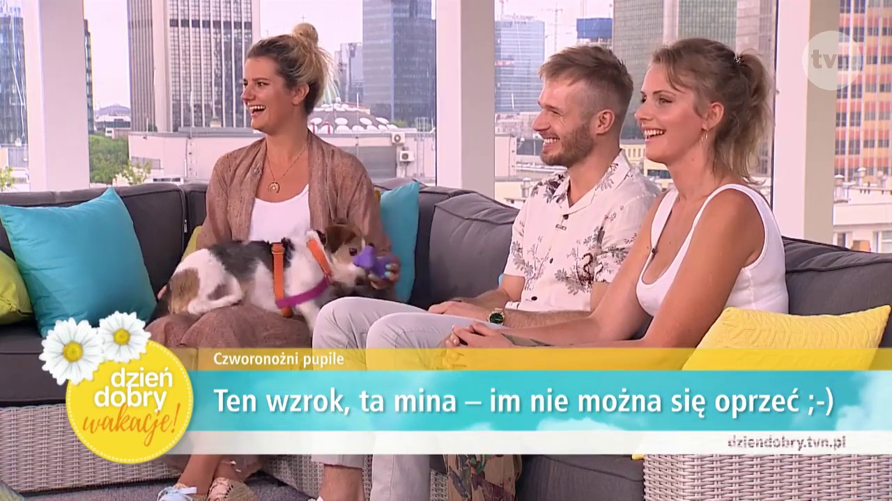 PSI EKSPERT w Dzień Dobry TVN, czy psy nami manipulują?!