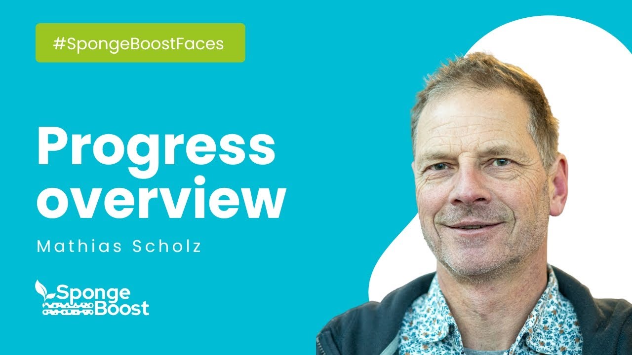 #SpongeBoostFaces: Progress overview by Mathias Scholz