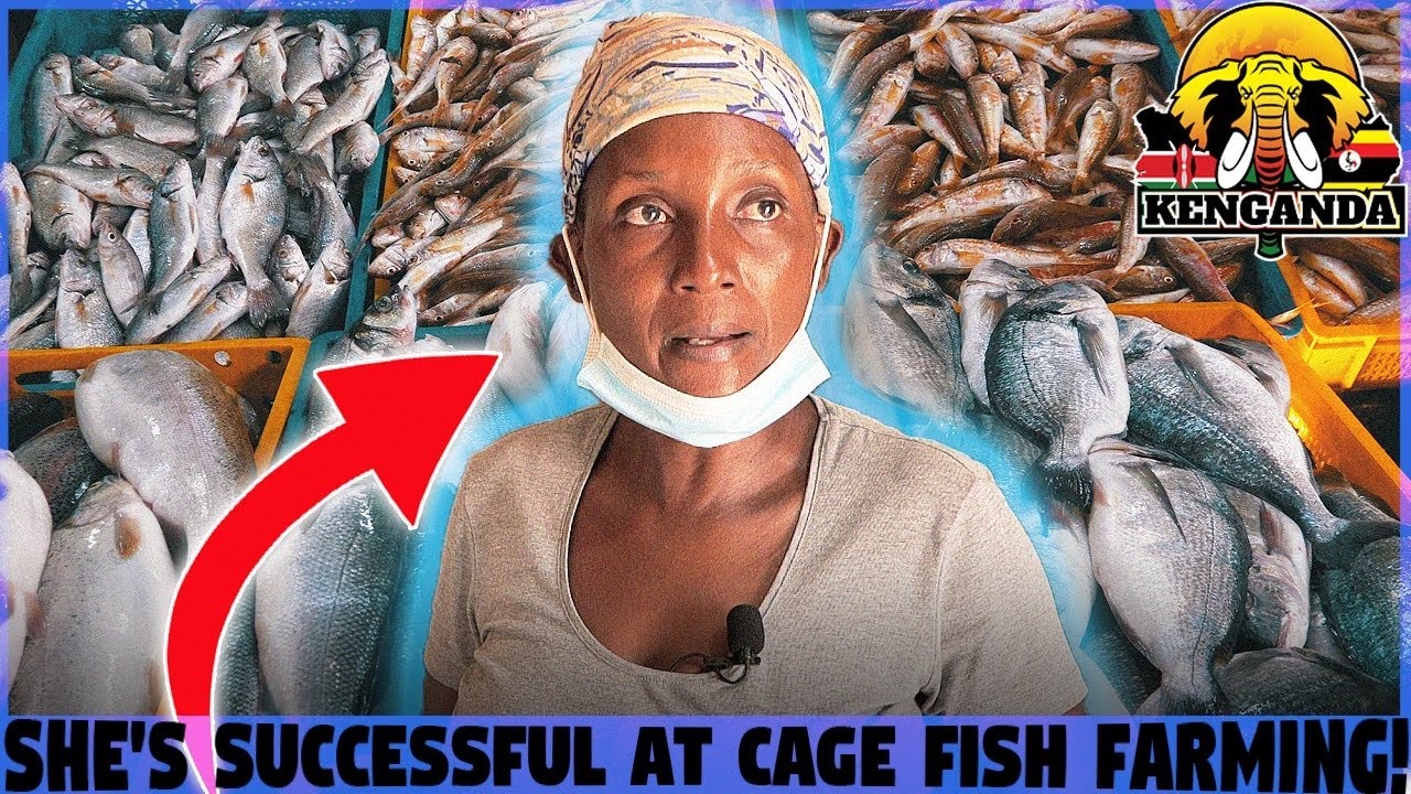 How Tilapia Cage Fish Farming in UGANDA Can make YOU A VERY WEALTHY PERSON!