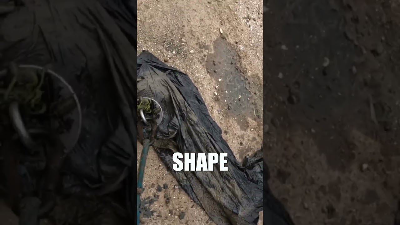 Weird Bag Found Magnet Fishing 
