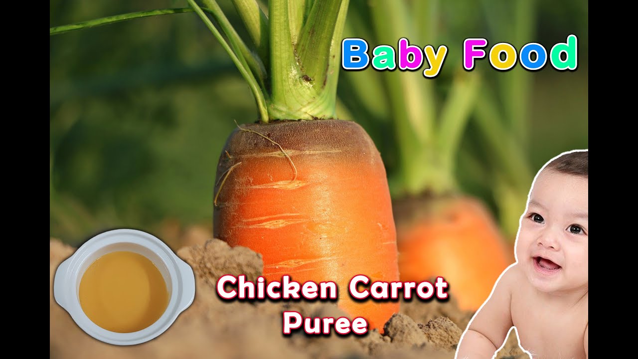 Baby Food || Chicken Carrot Puree || Healthy Baby food || Carrot Puree for Baby || Easy Baby Puree