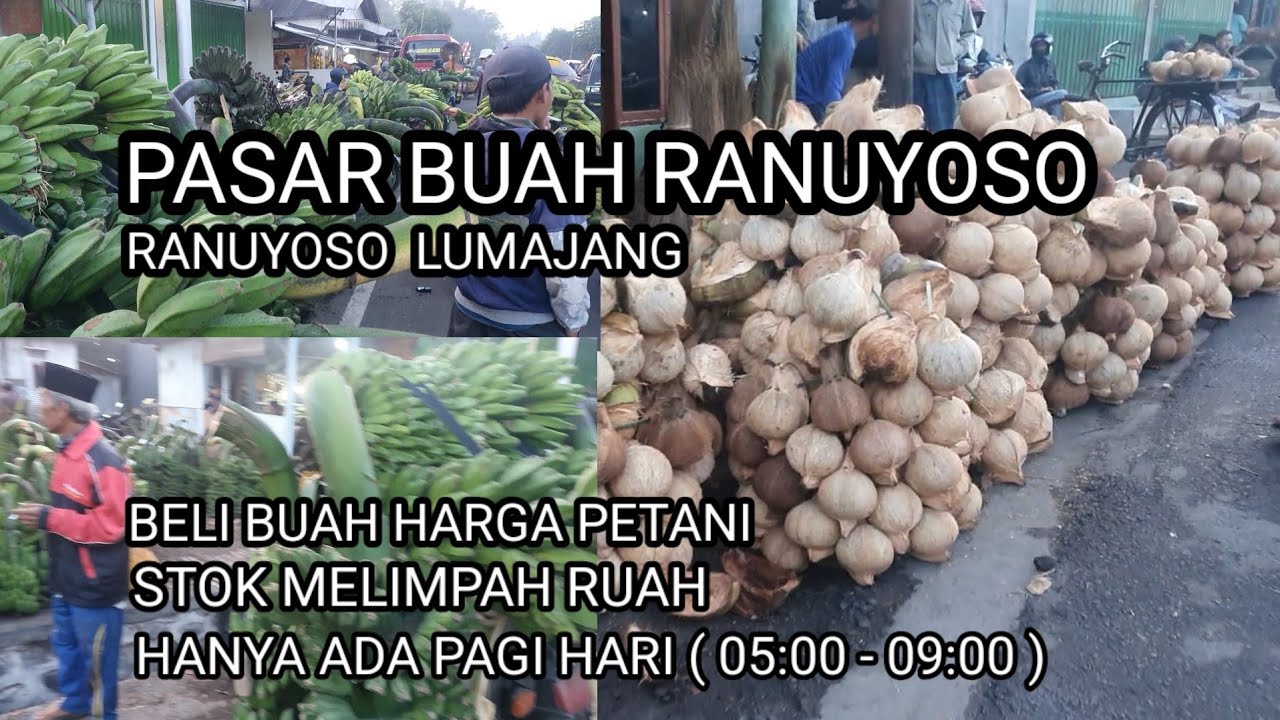 PASAR BUAH RANUYOSO : BELI BUAH HARGA MIRING STOK MELIMPAH
