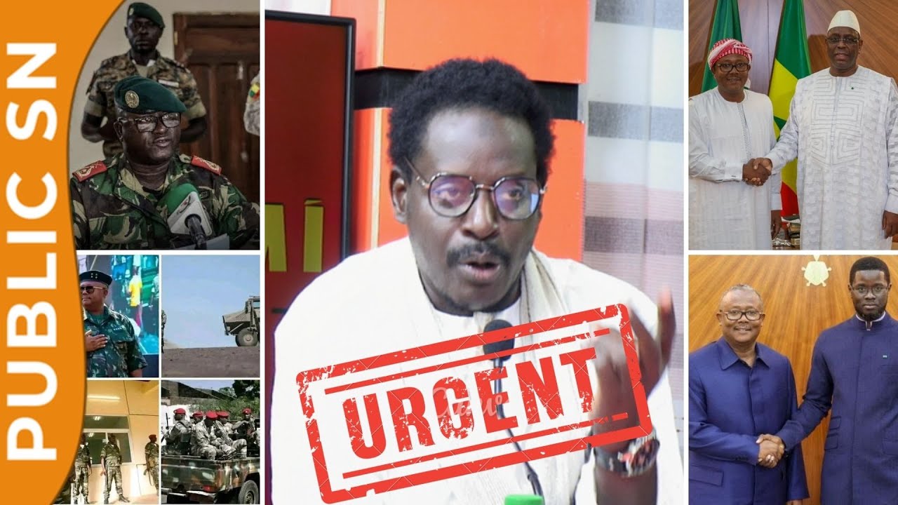 Coup d'&Eacute;tat en Guin&eacute;e Bissau, Mballo au S&eacute;n&eacute;gal : Seyni Tall, El&eacute;ment Barth et Issaga en d&eacute;battent