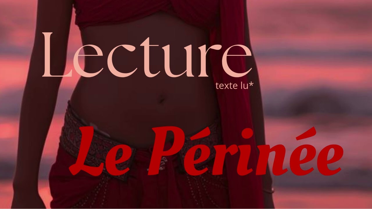 Le Périnée📖 Texte lu