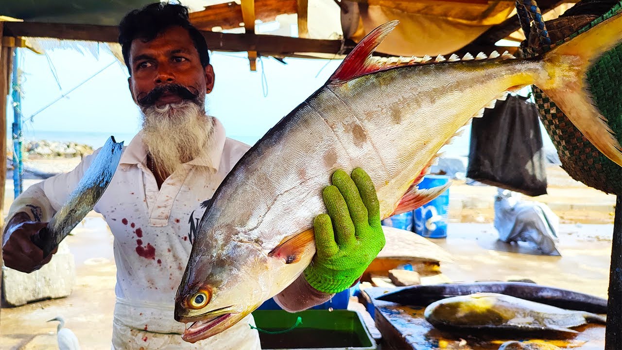 Filleting  Talang Queenfish Fish