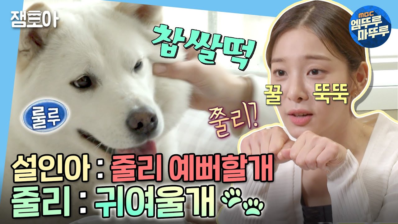 [나 혼자 산다] 이렇게 귀여우면 안 쥘리나 줄리?😘집에서 꽁냥대는 설인아와 줄리🐕 | #설인아 #줄리 MBC220429방송