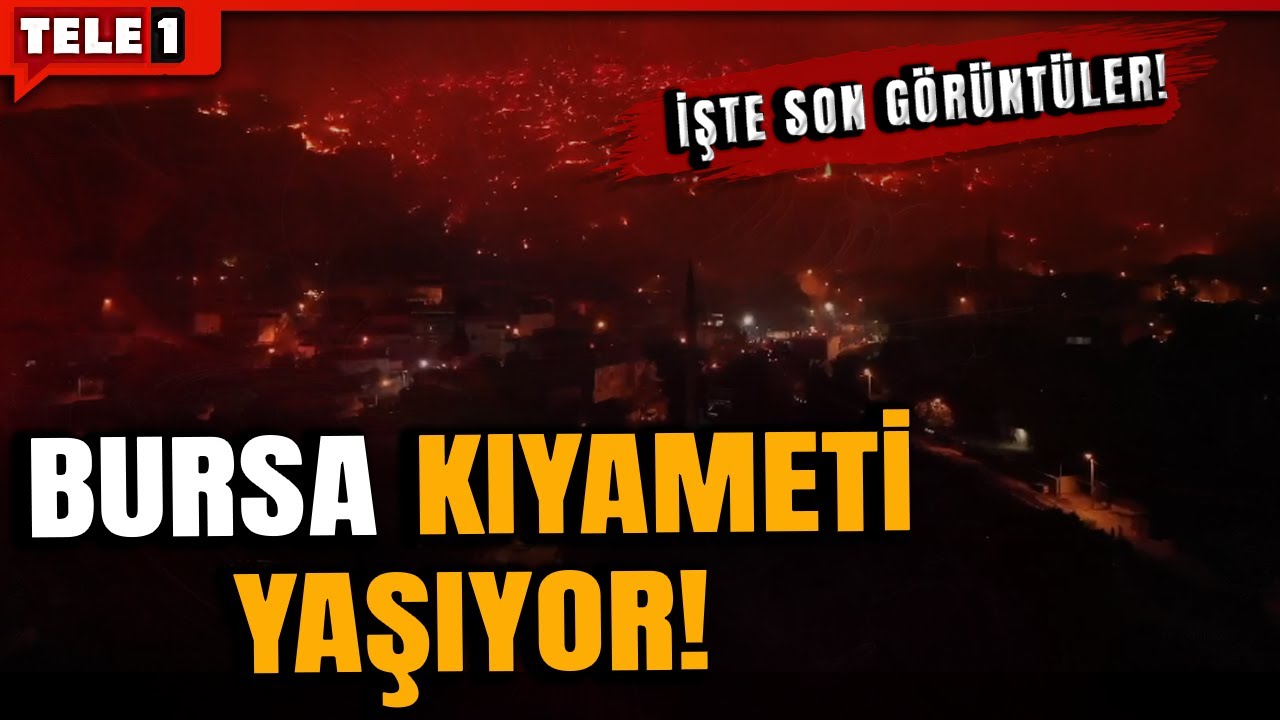 BURSA'DA YANGIN YERLEŞİM YERLERİNİ SARDI! İŞTE İÇLER ACISI GÖRÜNTÜLER...