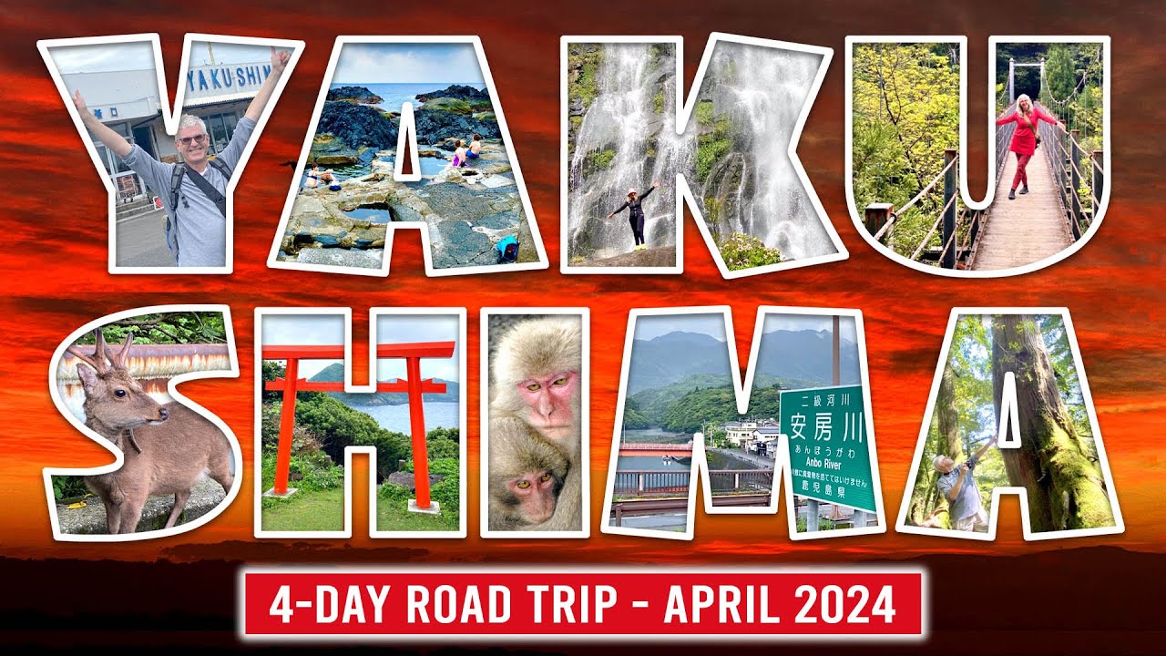 Yakushima Island Driving Discovery - April 2024.