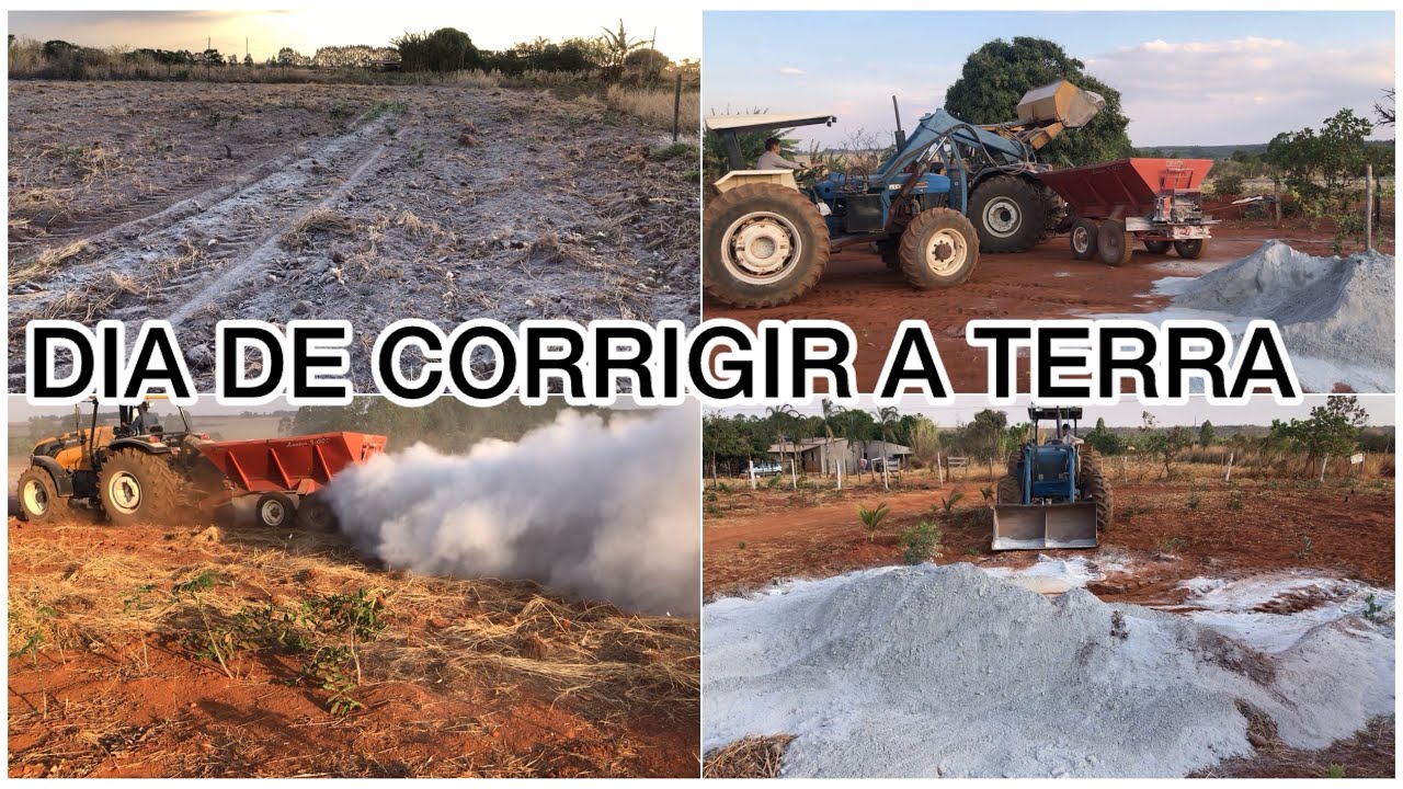 VAMOS PLANTAR MILHO VERDE NESSA ÁREA 