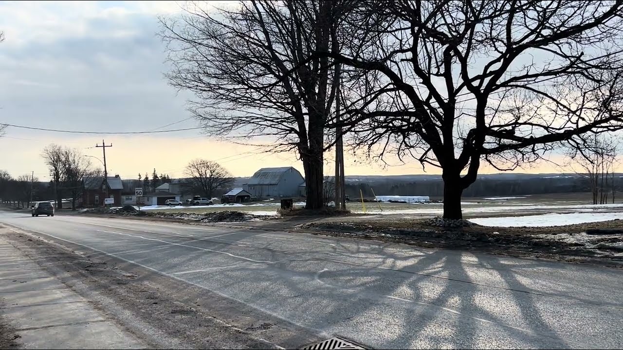 Nearly Spring Morning