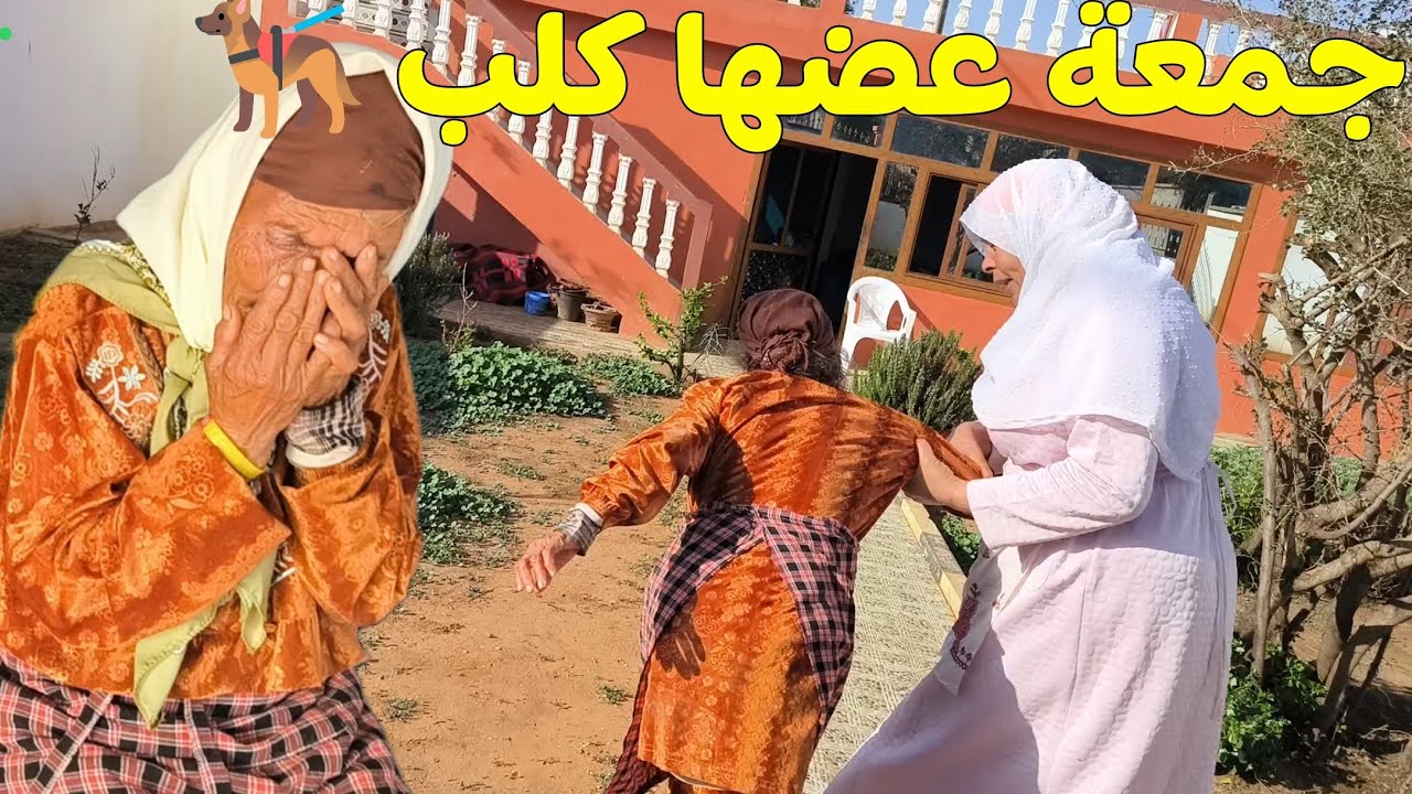 تخلعنا على جمعة عضها كلب