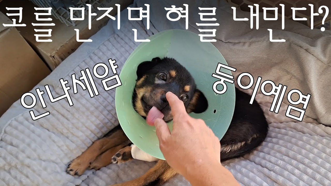 씨앗나눔,둥이,식물 근황입니다.