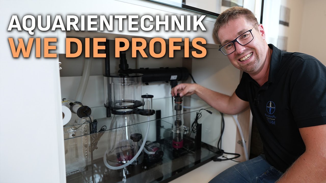 Weiter an Michl's Becken! - Was passiert als nächstes? - PlanktonPlus Aquaristik