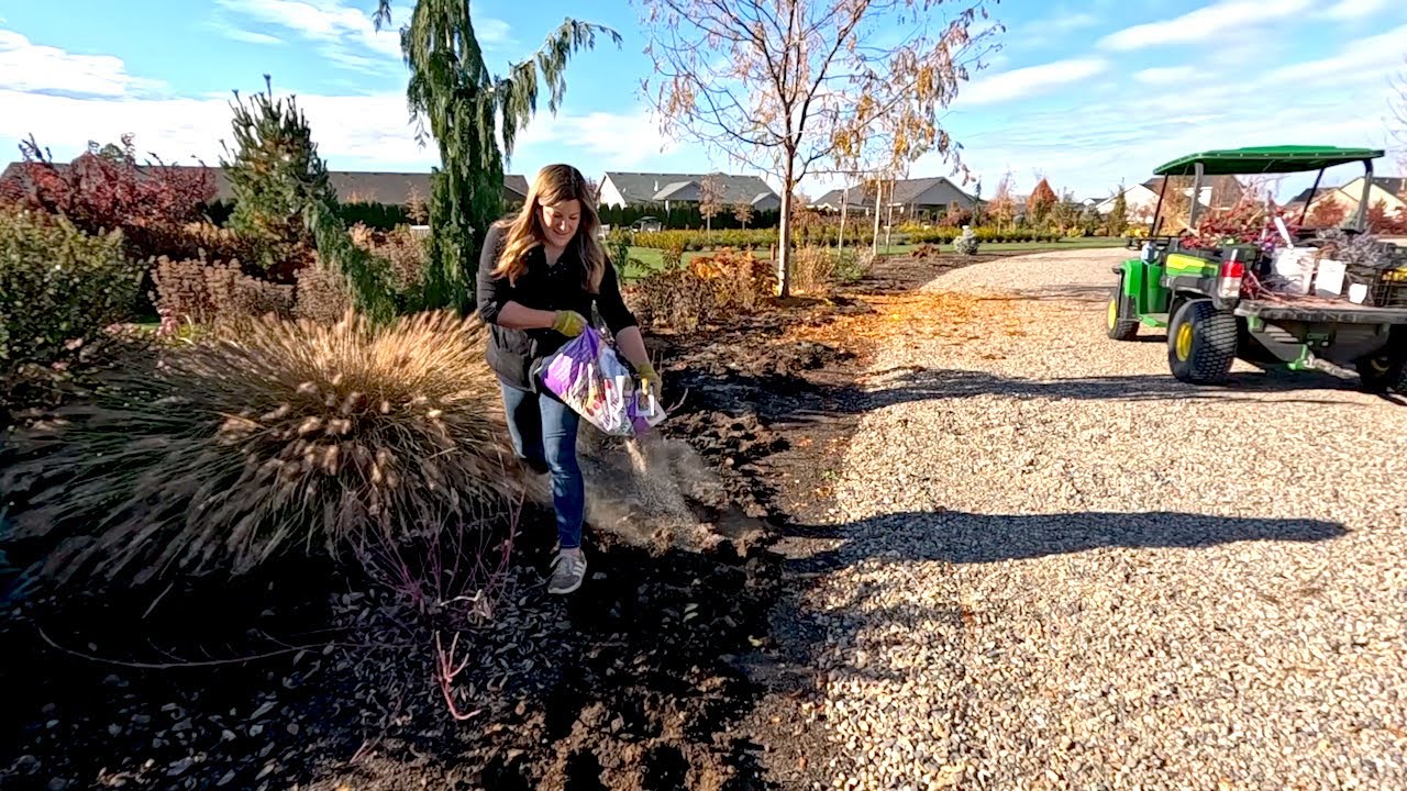 Planting the Last Bulbs of the Season for Big Spring Blooms 🌷🌼🪏 // Garden Answer