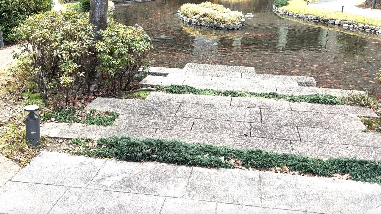 大阪駅北・グランフロントの日本庭園と周辺を歩いてみた｜Just Walking Around Grand Front Osaka Garden