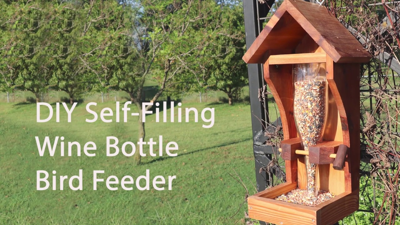 DIY Homemade Wine Bottle Bird Feeder Plans