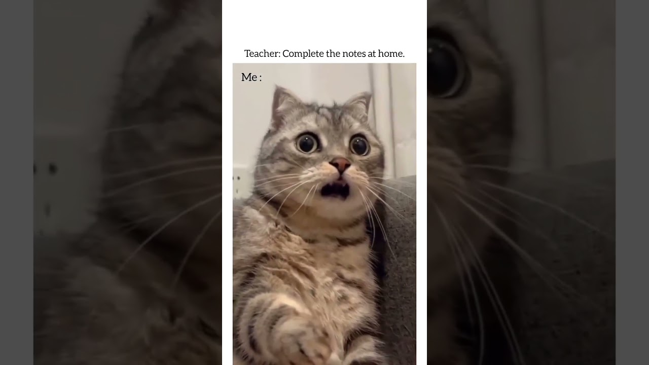 POV: When teacher says write notes at home 😭 