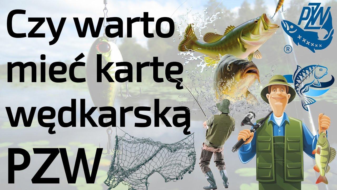 Czy warto mieć 