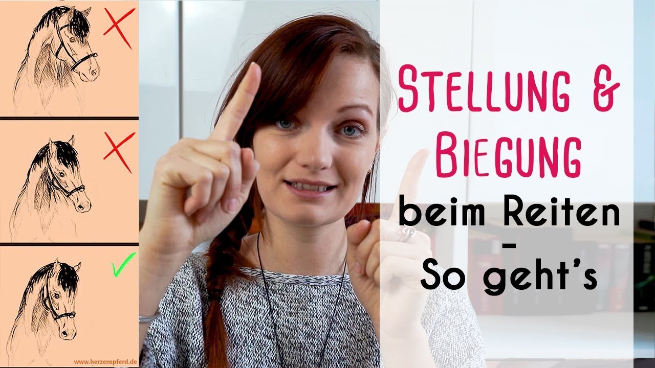 Stellung & Biegung beim Pferd - So geht's!