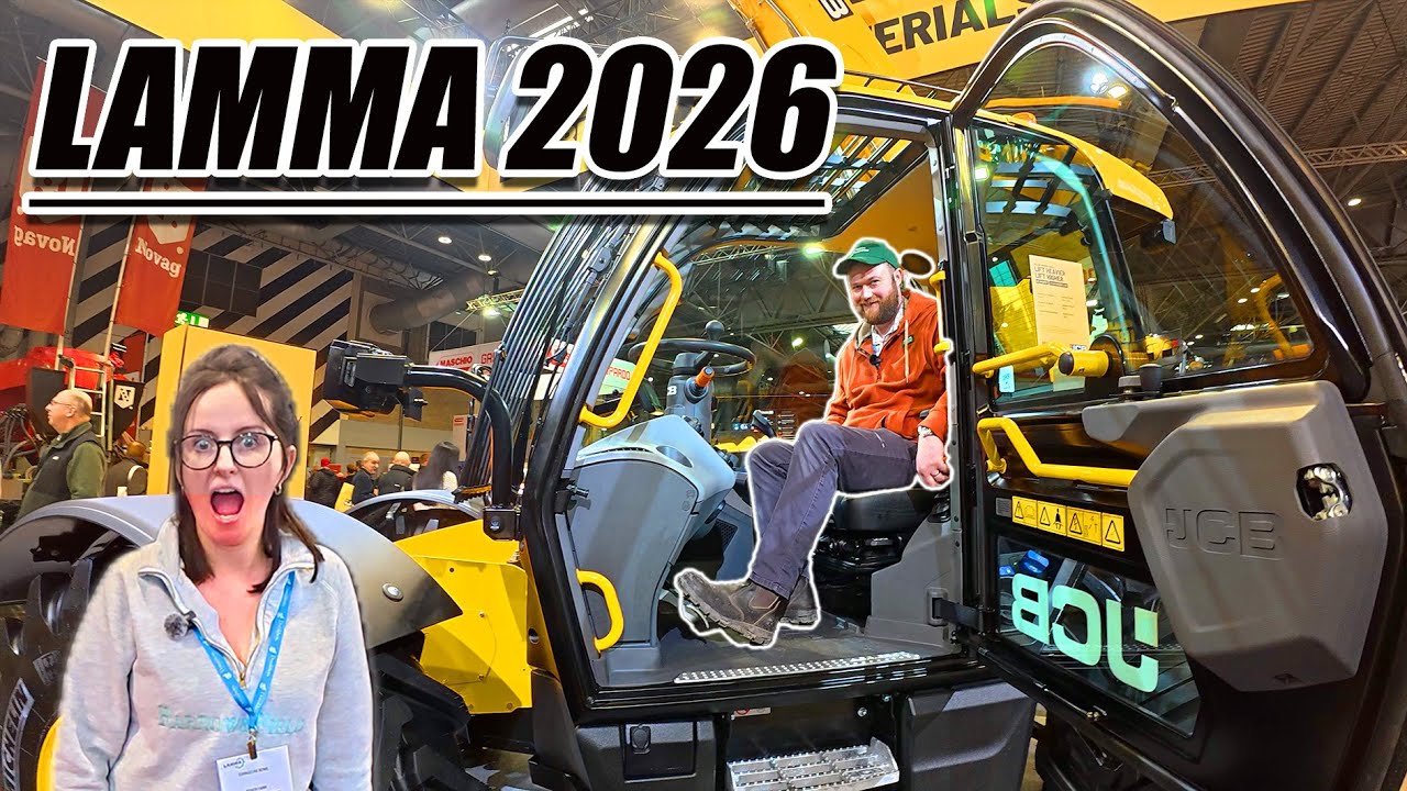 HOW MUCH DID WE SPEND AT LAMMA?!