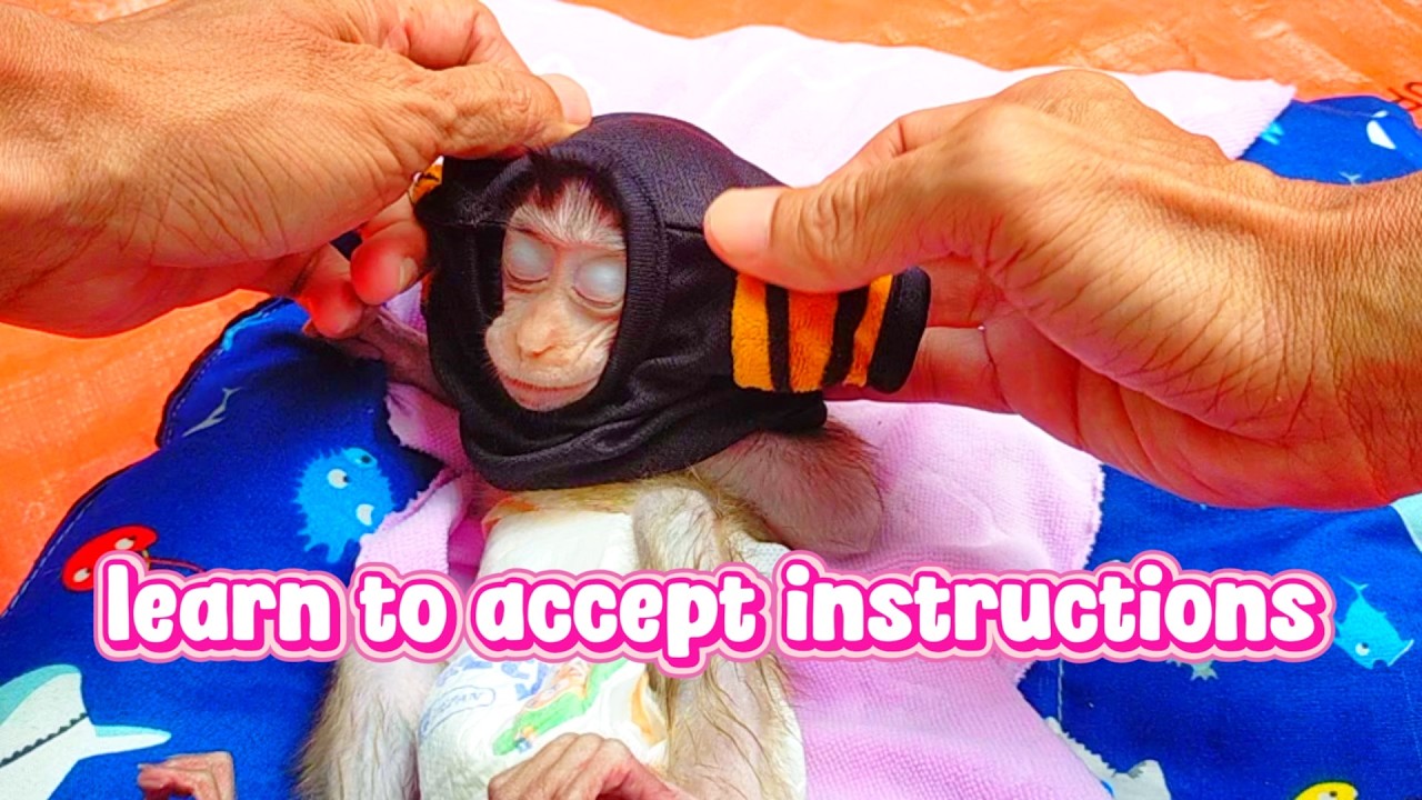 learn to accept instruction #viral #trending #viralvideo #trendingvideo