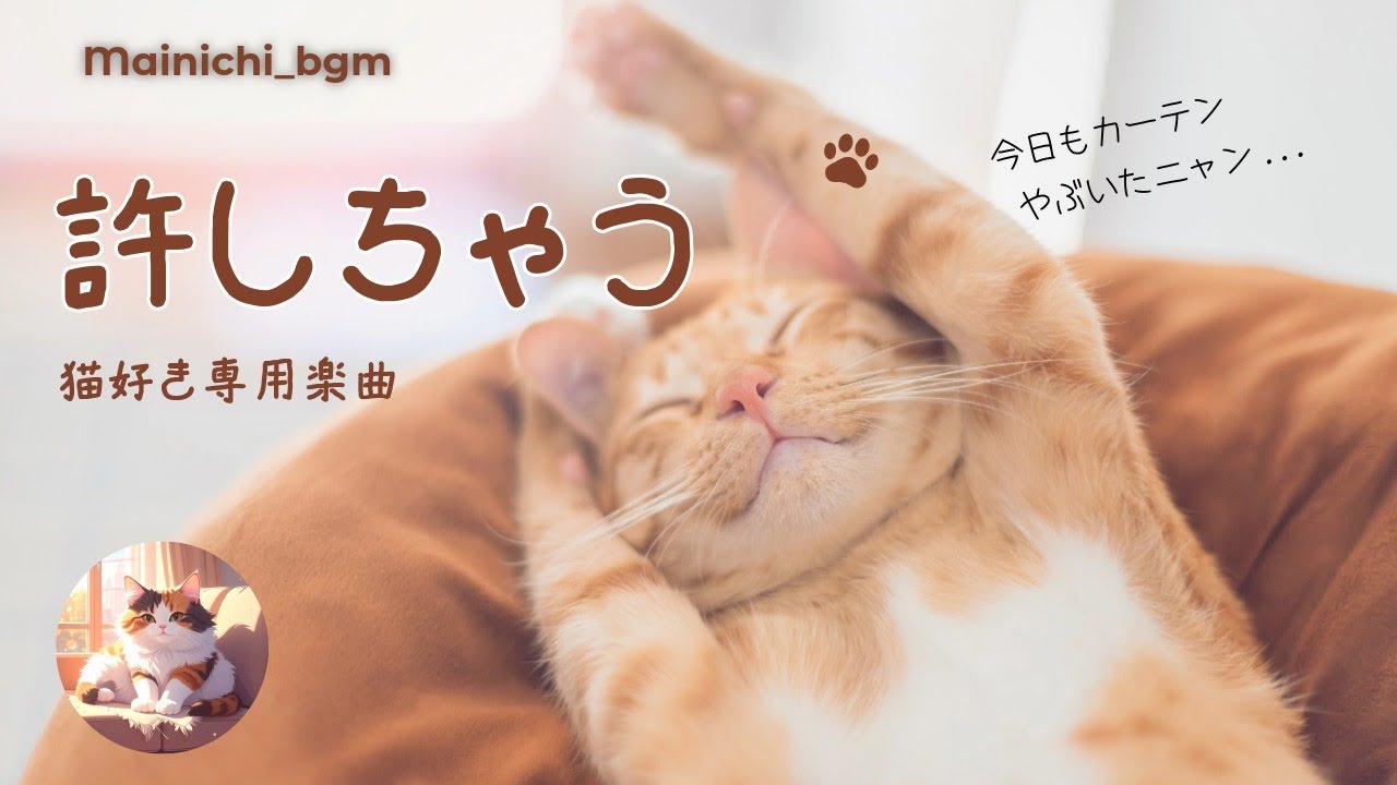 許しちゃう