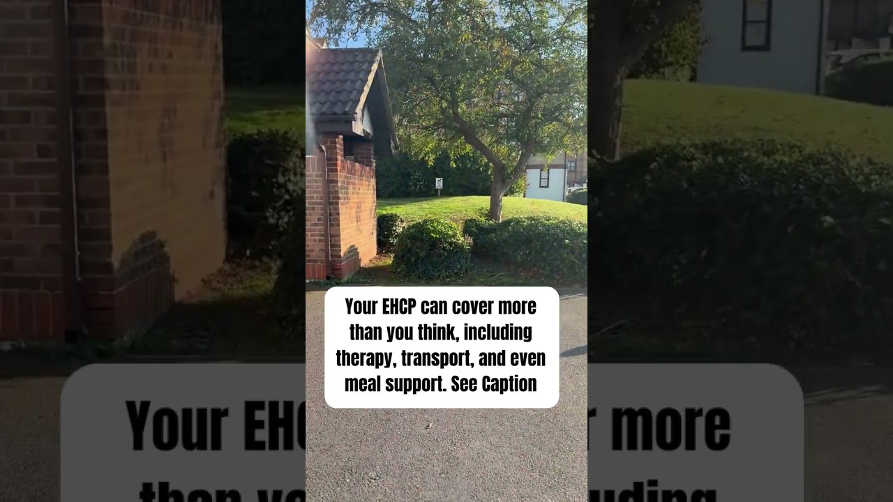 Your EHCP Can Cover More Than You Think &ndash; Even Therapy, Transport and Meals