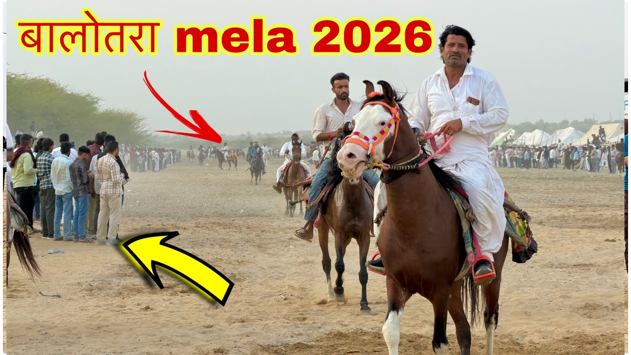 बालोतरा पशु मेला (तिलवाड़ा) 2026 | रेवाल चाल के घोड़े प्रैक्टिस करते हुए लूनी नदी में शाम के समय।