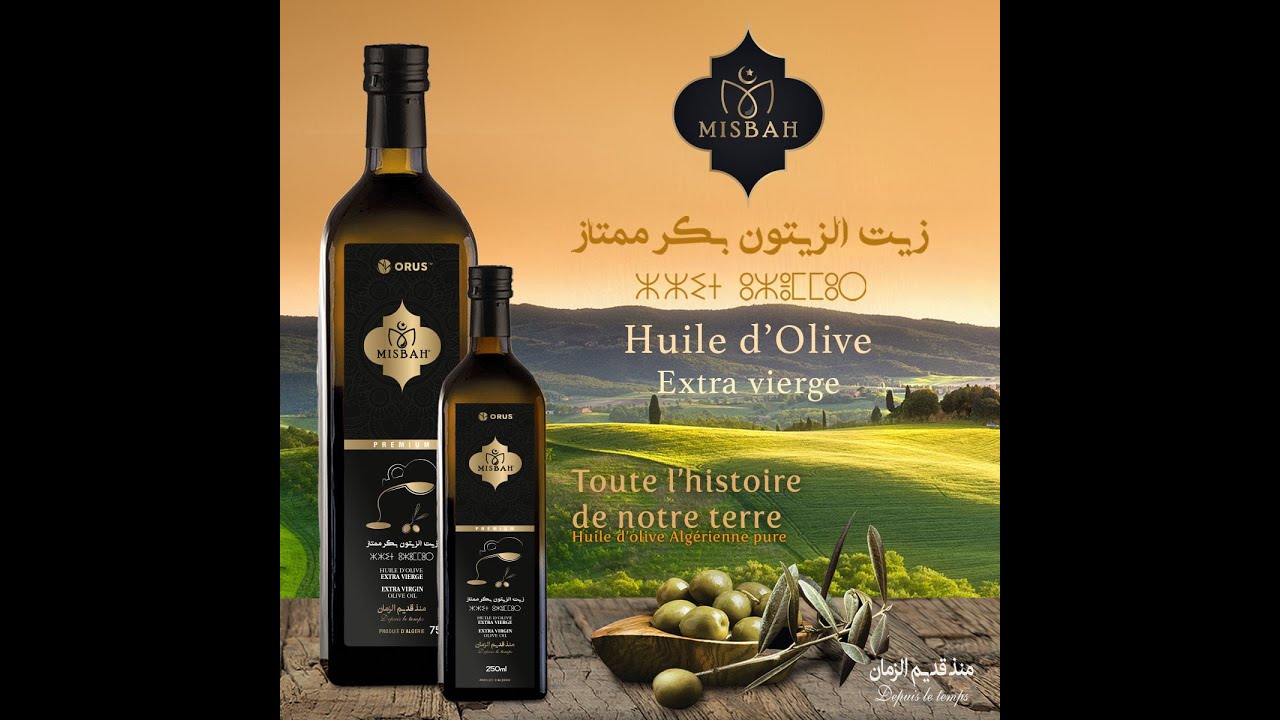 إنتاج زيت الزيتون البكر الممتاز في الجزائر - من المستثمرة الفلاحية صحراوي  في مصباح (سعيدة والبيض)