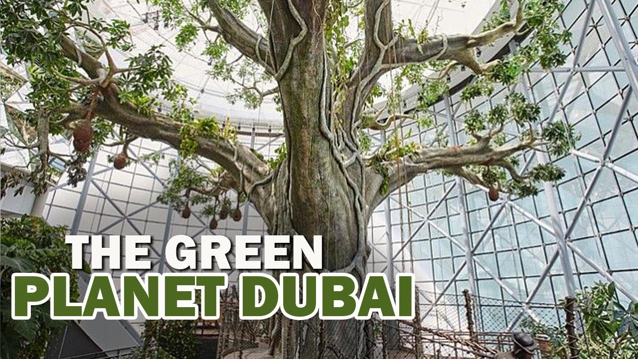 Go Green in Dubai: Discover The Green Planet's Ecotourism Adventures | Aan Tourism