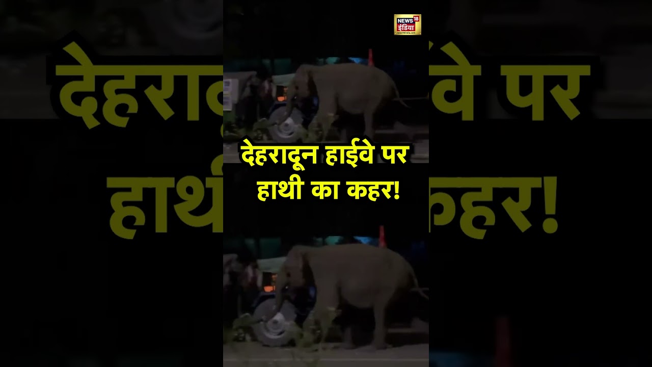 Dehradun Highway पर हाथी का कहर! | Viral News | Viral Video | 