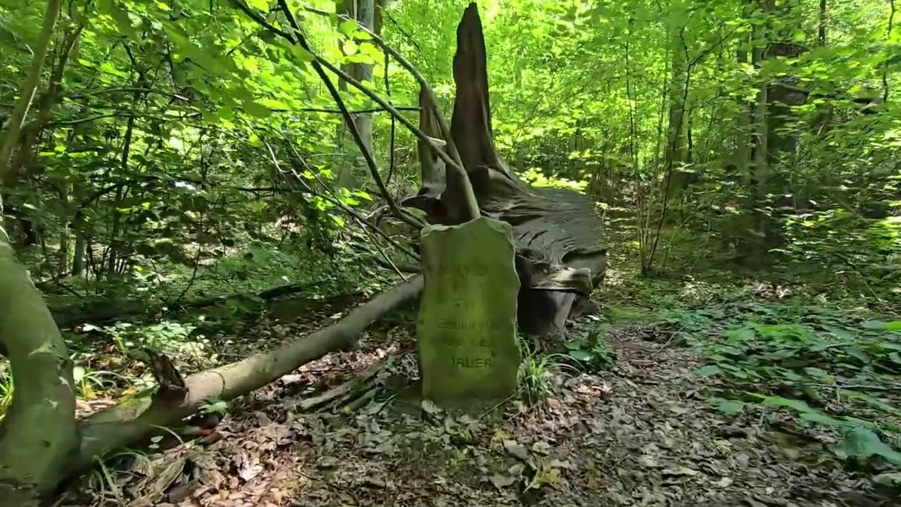 Wąwóz Myśliborski