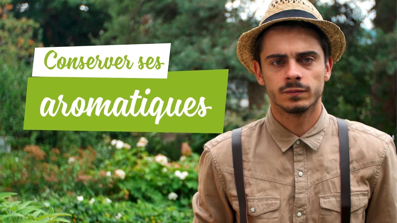 Conserver des herbes aromatiques