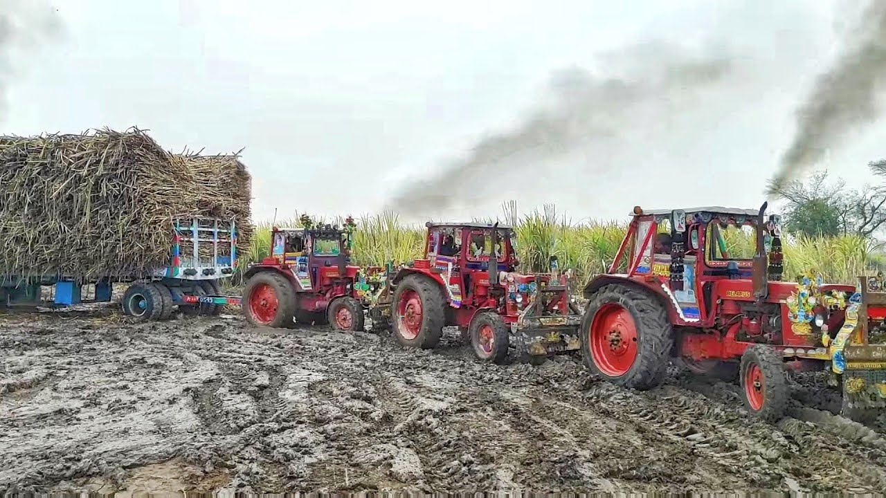 Pulling Power Test | Tractors pulled the trailer out of the mud with great difficulty