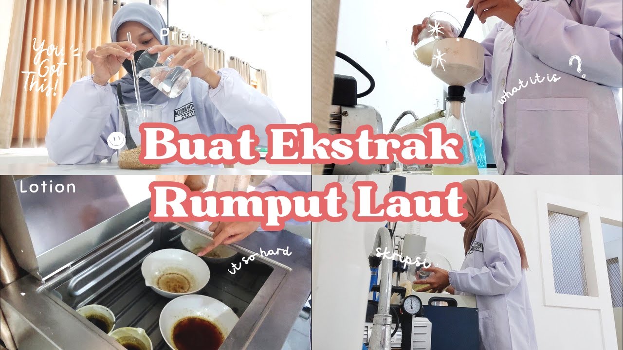 proses pembuatan ekstrak rumput laut ! | Skripsi Vlog