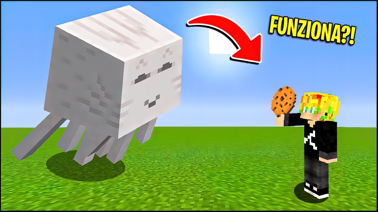 PROVO LIFE'S HACK di MINECRAFT VIRALI al 100% !  MINECRAFT ITA