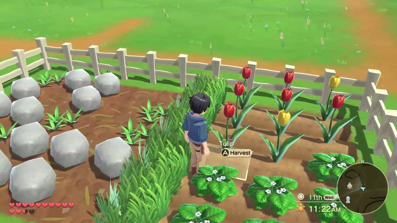 How to Get Yellow Tulip in Harvest Moon The Winds of Anthos