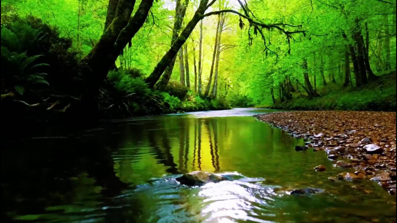 Magical Forest Atmosphere, Flowing Water, Forest Sounds, Birds Chirping, Soothing ASMR