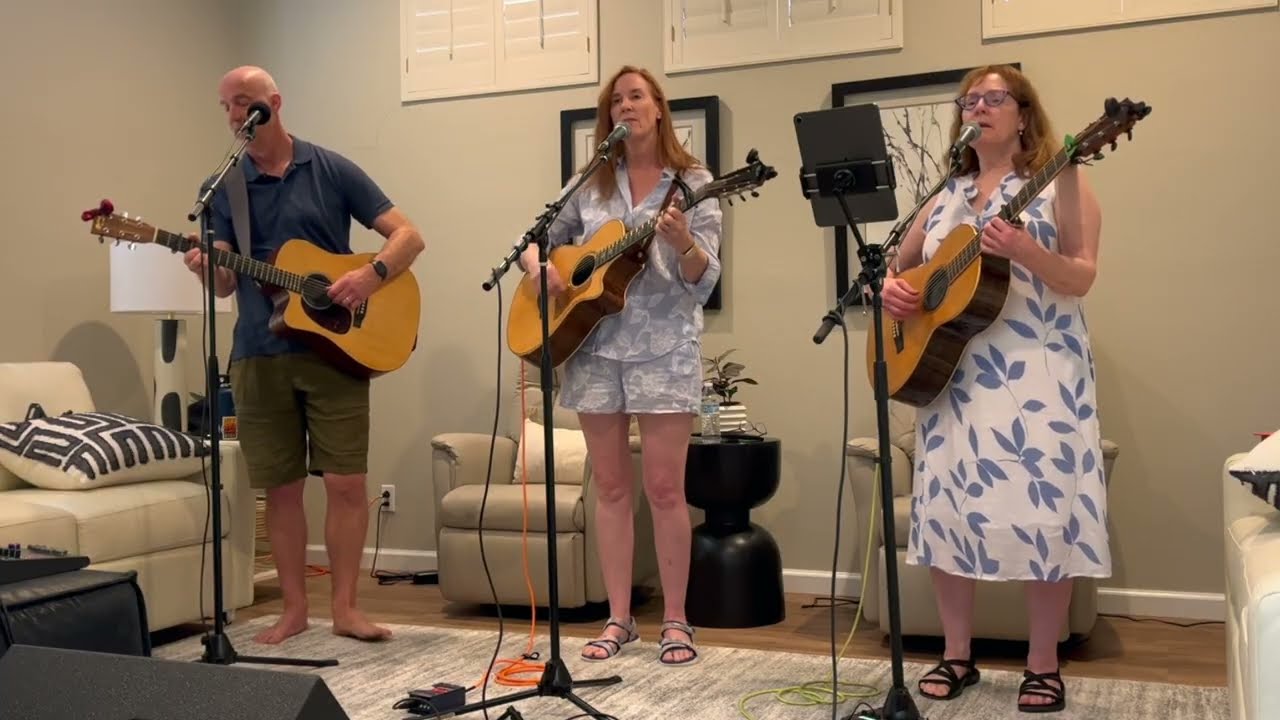 Helplessly Hoping - Crosby, Stills & Nash (The Pannettones COVER)