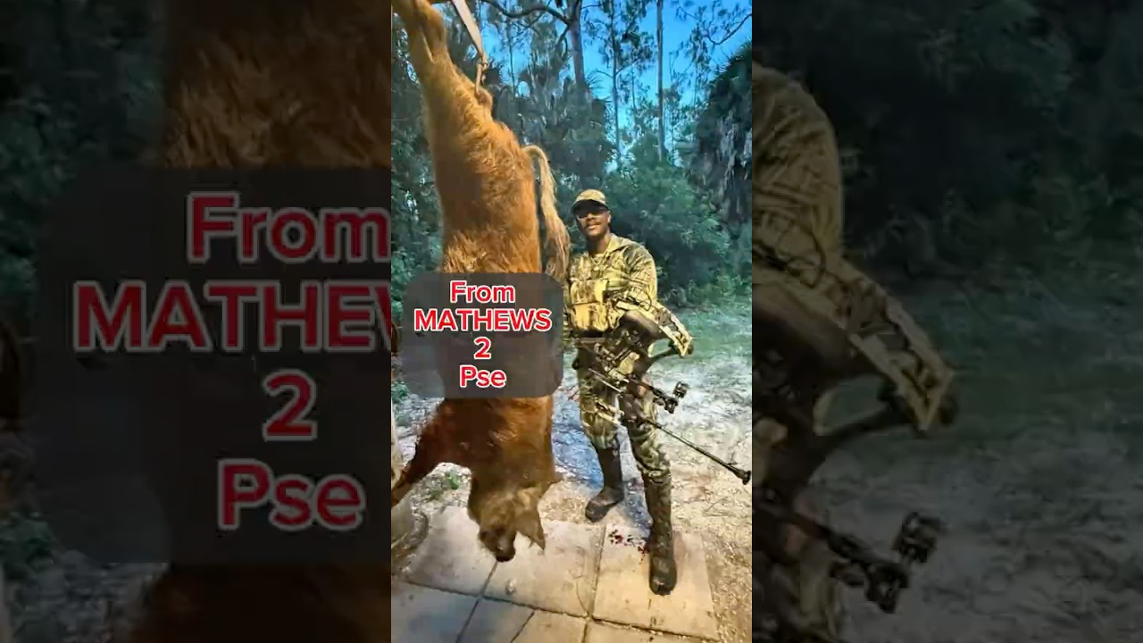 PSE ARCHERY 0 to HERO #bowhunting #archery #psearchery #archerylife #bowhunt #targetarchery