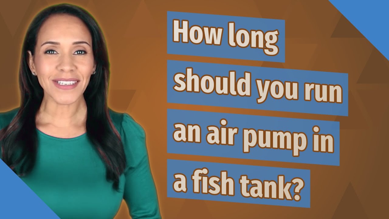 How long should you run an air pump in a fish tank?