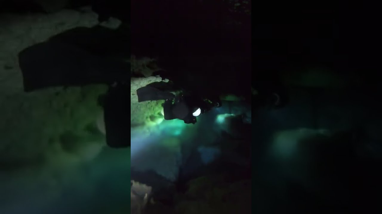 Liberty Sidemount CCR Cave Diving - Flying above the halocline in cenote Mayan Blue.