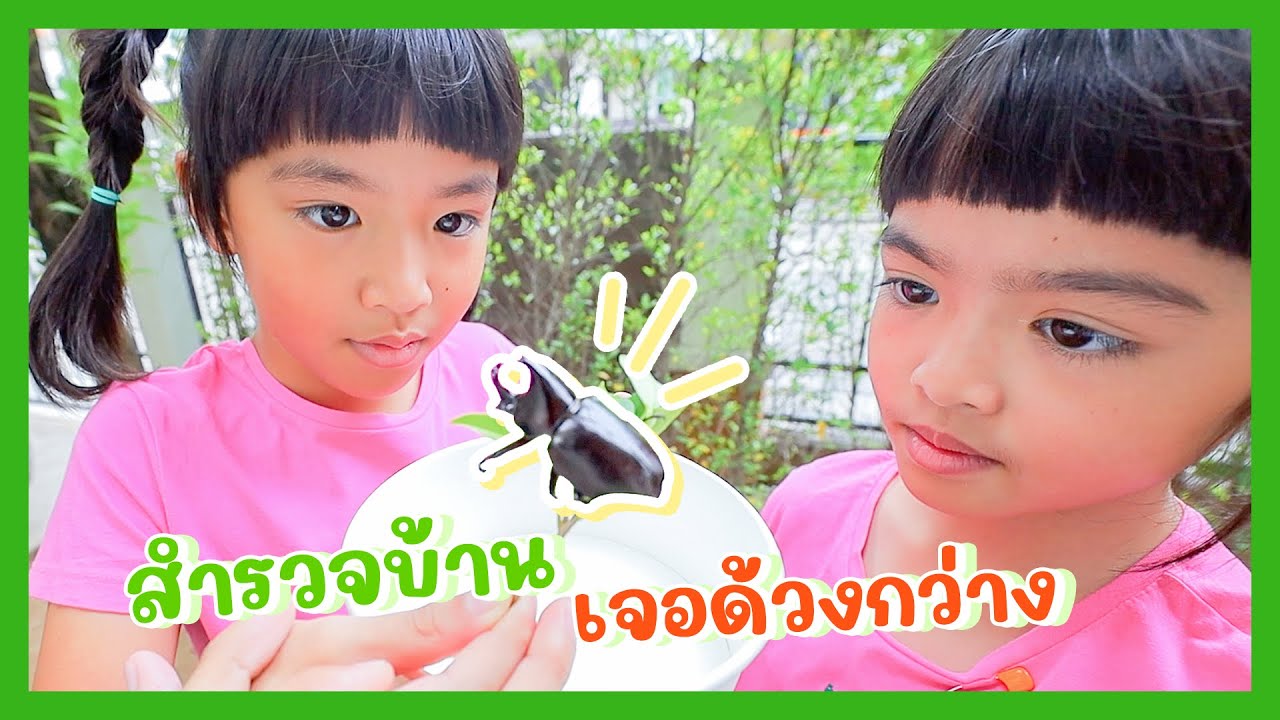YimYamFamily | สำรวจบ้าน เจอด้วงกว่าง