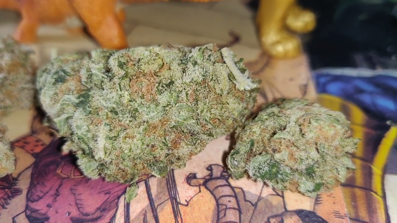 Glue Monster 50% indica (Chocolate Diesel x Chem's Sister)