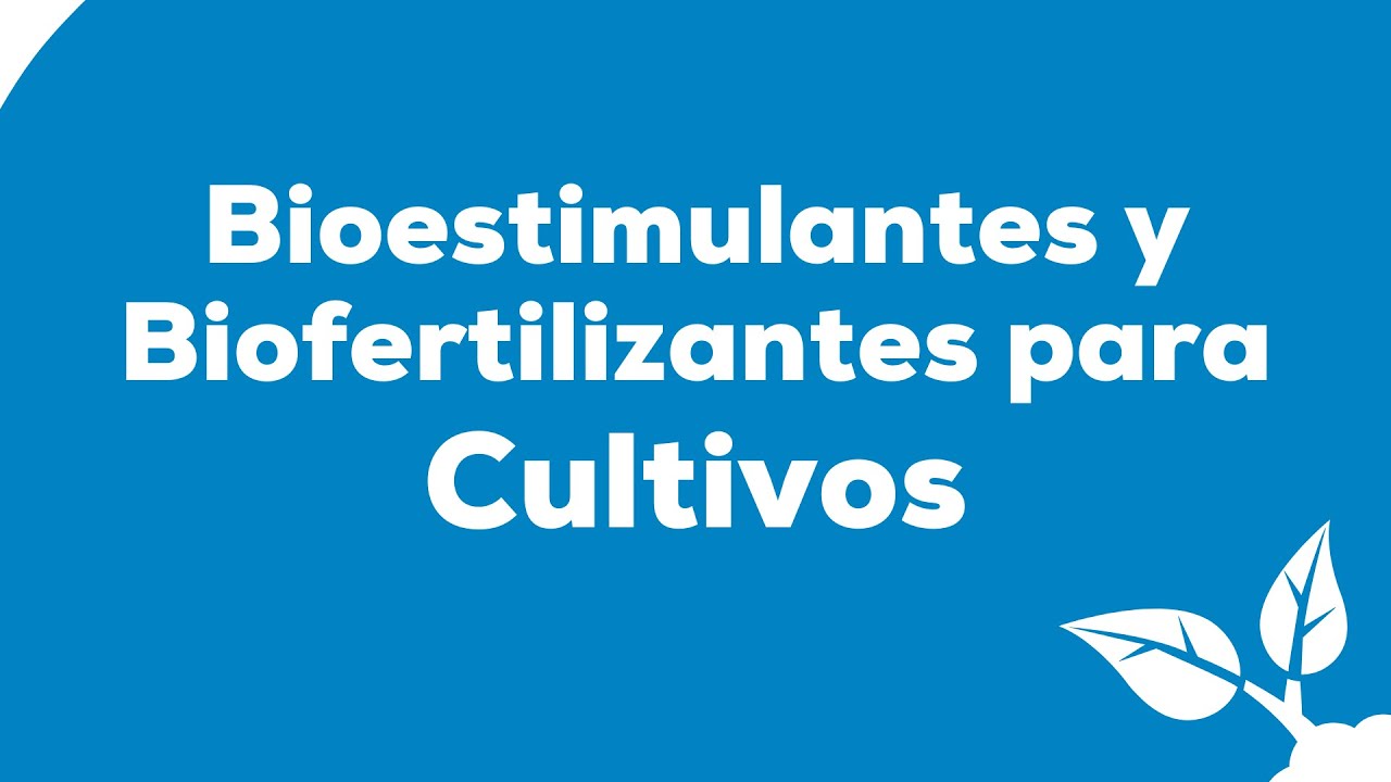 Bioestimulantes y Biofertilizantes para Cultivos