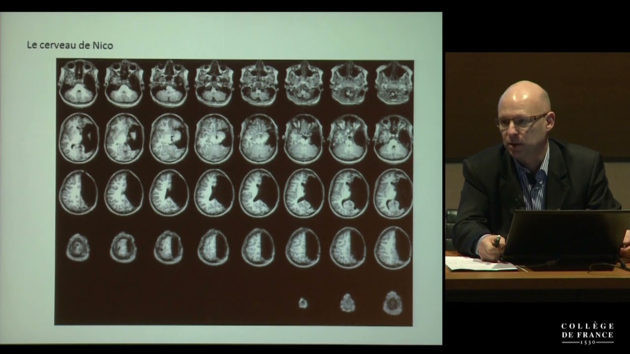 Fondements cognitifs des apprentissages scolaires (1) - Stanislas Dehaene (2014-2015)