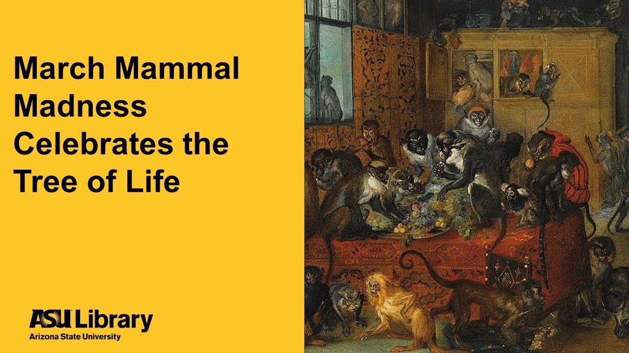 March Mammal Madness Celebrates the Tree of Life
